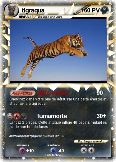 Pokemon tigraqua