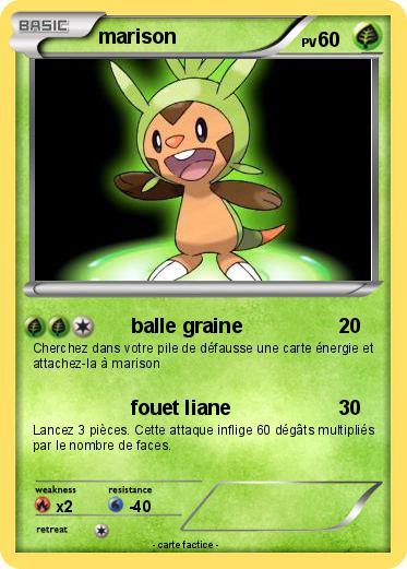 Pokemon marison