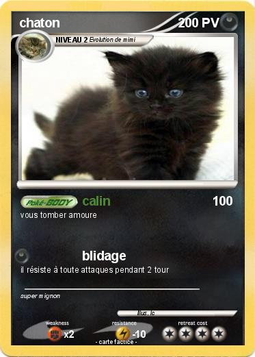 Pokemon chaton