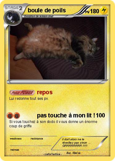 Pokemon boule de poils