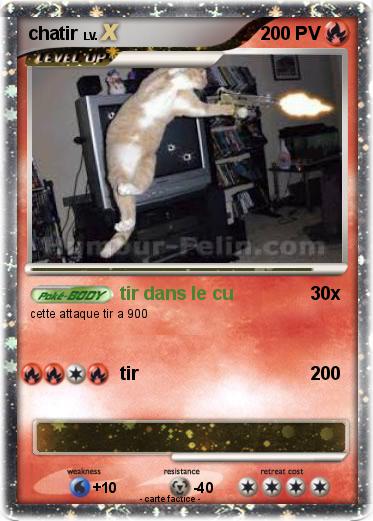 Pokemon chatir