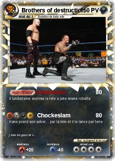 Pokemon Brothers of destruction