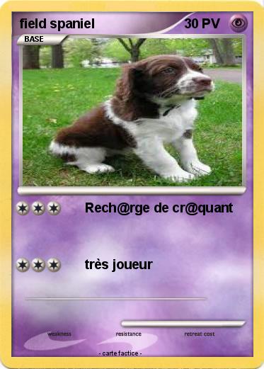 Pokemon field spaniel