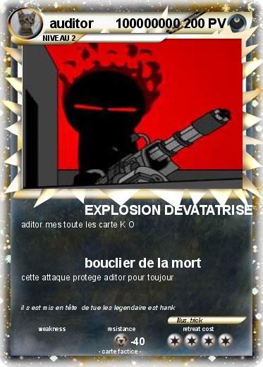 Pokemon auditor      100000000