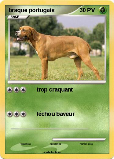 Pokemon braque portugais