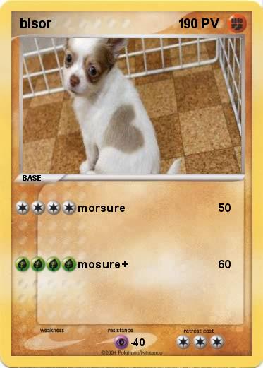 Pokemon bisor                                   1                  