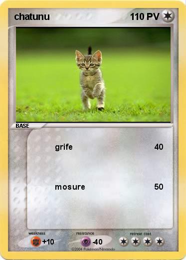 Pokemon chatunu