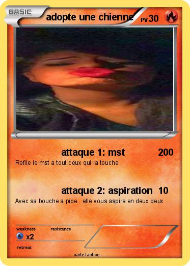 Pokemon adopte une chienne