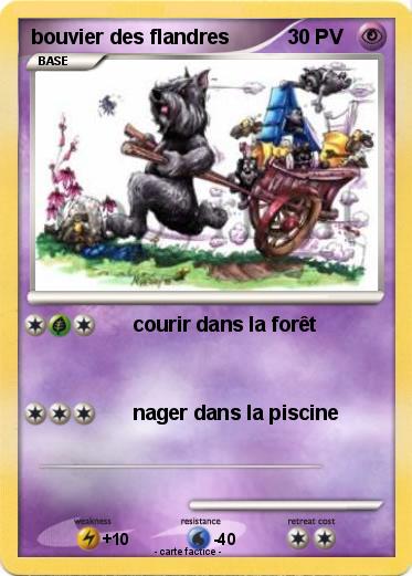 Pokemon bouvier des flandres