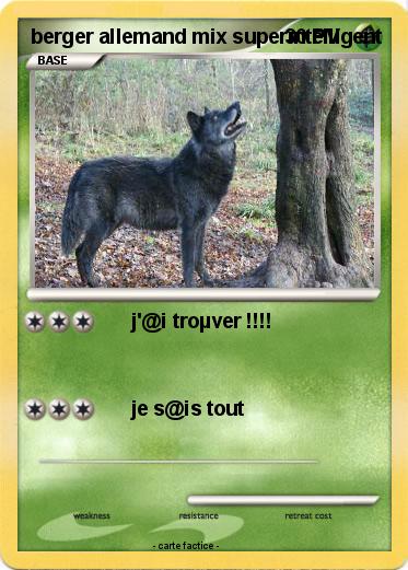 Pokemon berger allemand mix superintelligent