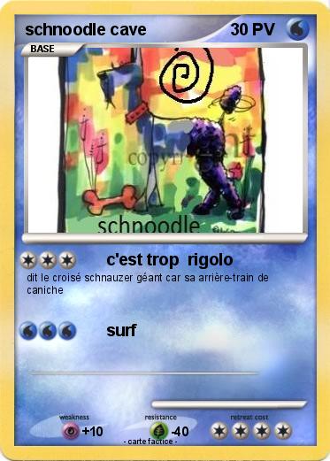 Pokemon schnoodle cave