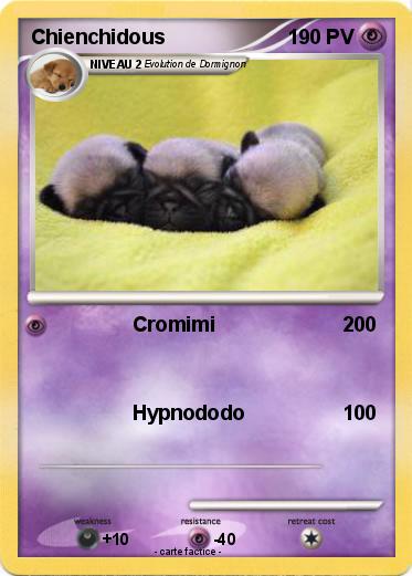 Pokemon Chienchidous