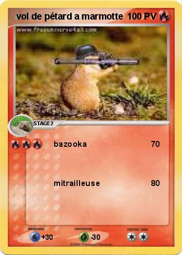 Pokemon  vol de pétard a marmotte