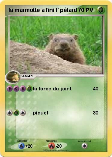 Pokemon la marmotte a fini l' pétard