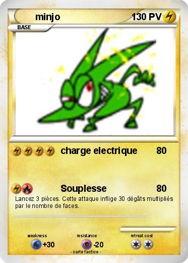 Pokemon minjo
