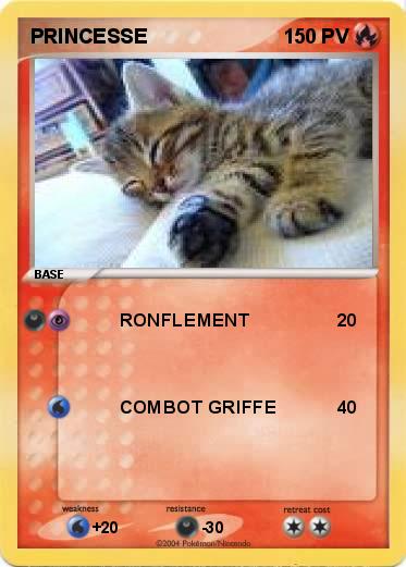 Pokemon PRINCESSE