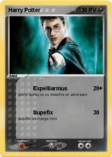 Pokemon Harry Potter