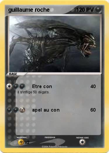 Pokemon guillaume roche