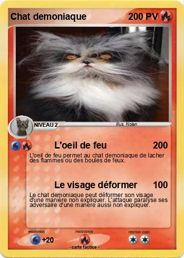 Pokemon Chat demoniaque