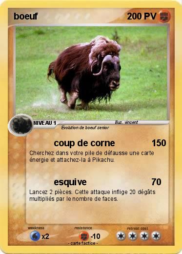 Pokemon boeuf