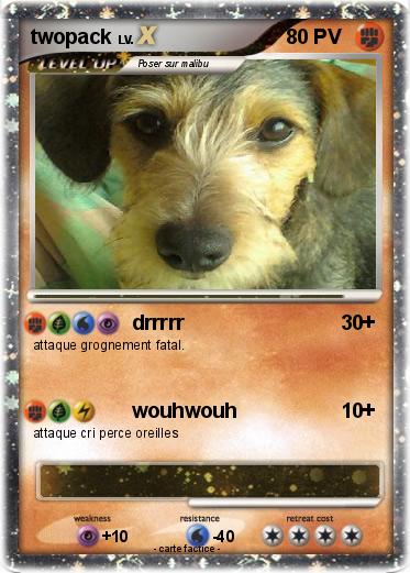 Pokemon twopack