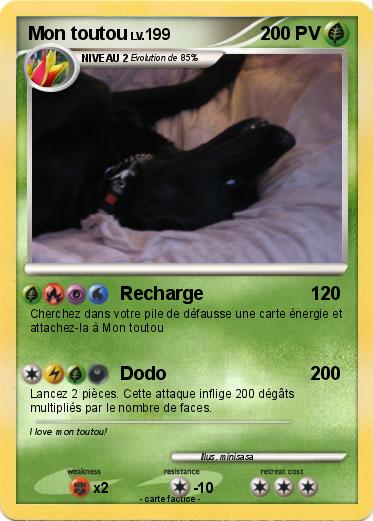 Pokemon Mon toutou