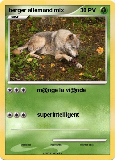 Pokemon berger allemand mix