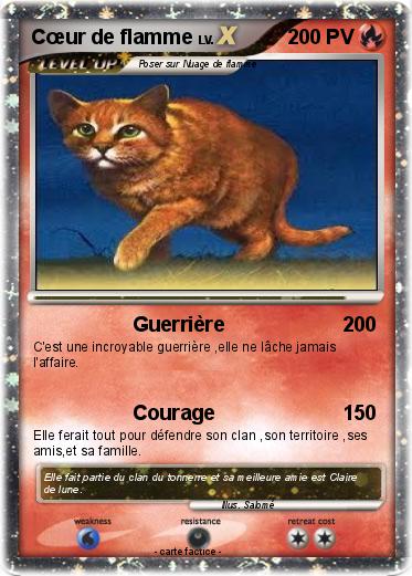 Pokemon Cœur de flamme