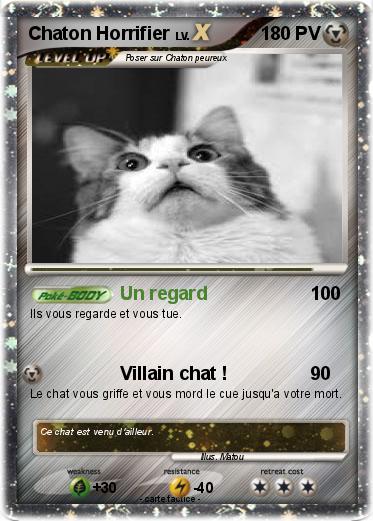 Pokemon Chaton Horrifier
