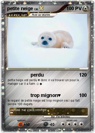 Pokemon petite neige