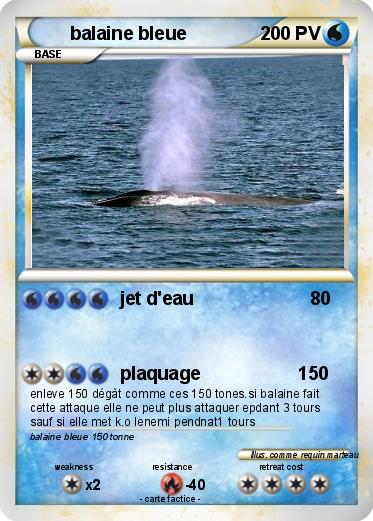 Pokemon balaine bleue