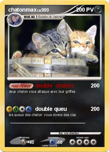 Pokemon chatonmax