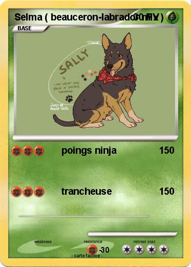 Pokemon Selma ( beauceron-labrador mix )
