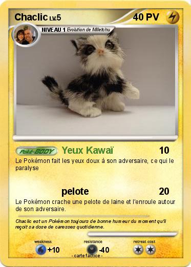 Pokemon Chaclic