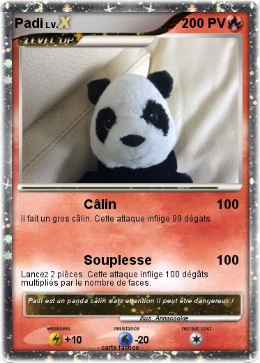 Pokemon Padi