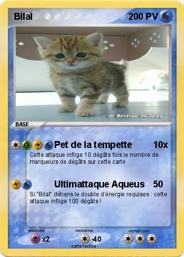 Pokemon Bilal