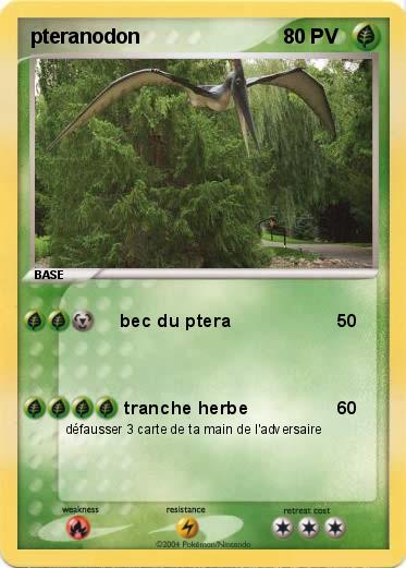 Pokemon pteranodon