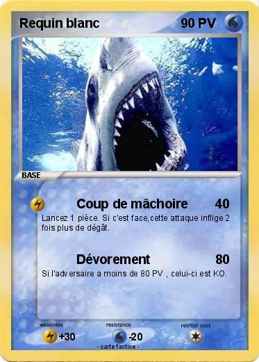 Pokemon Requin blanc