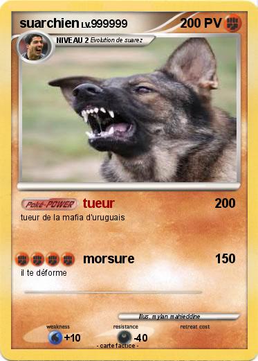 Pokemon suarchien