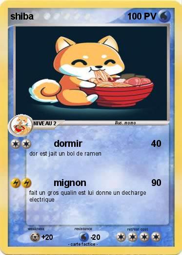 Pokemon shiba