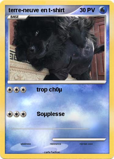 Pokemon terre-neuve en t-shirt