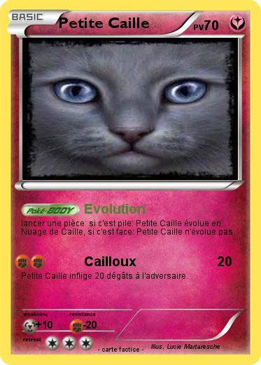 Pokemon Petite Caille