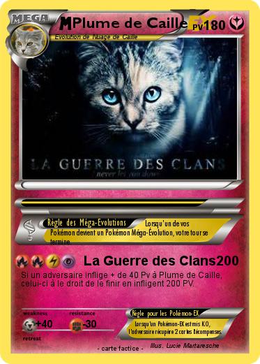 Pokemon Plume de Caille