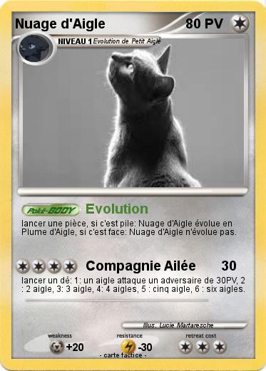Pokemon Nuage d'Aigle