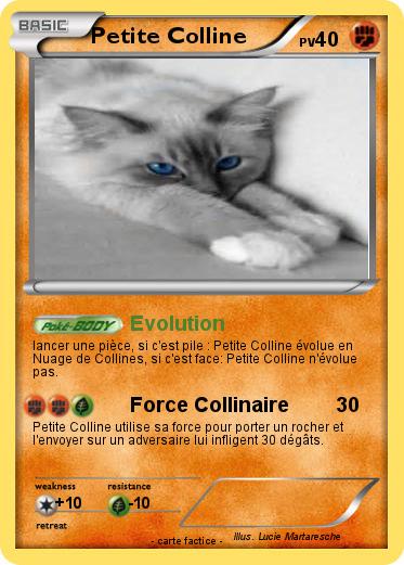 Pokemon Petite Colline