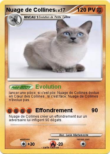 Pokemon Nuage de Collines