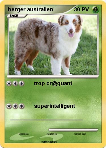 Pokemon berger australien