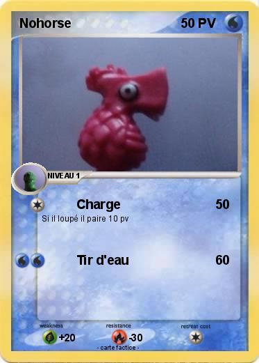 Pokemon Nohorse