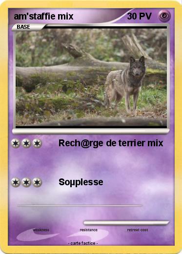 Pokemon am'staffie mix
