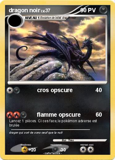 Pokemon dragon noir